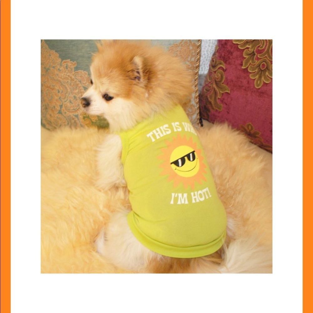 2/$10; 4/$15 Last One! NWT, Neon Green “I’m Hot” Sunny ☀️ Little Pet Tee: small - Picture 2 of 3